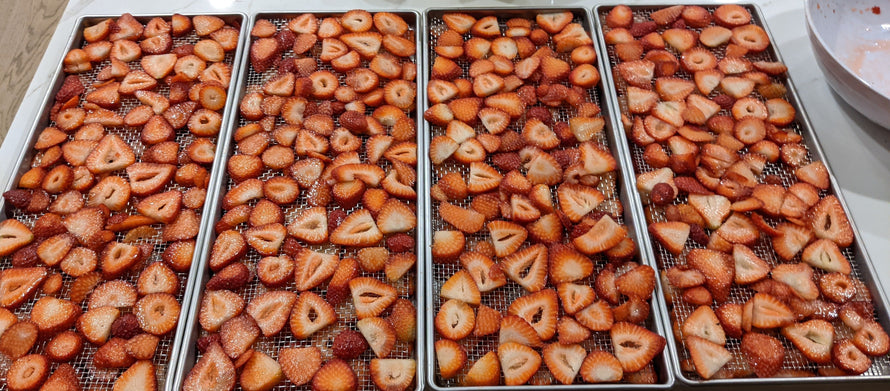 Freeze Dryer Accessories