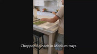 freeze dryer funnel spinach