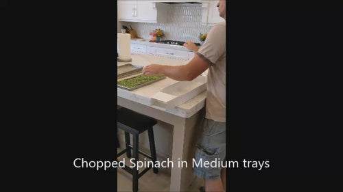 freeze dryer funnel spinach