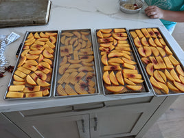 wire mesh screens for freeze drying